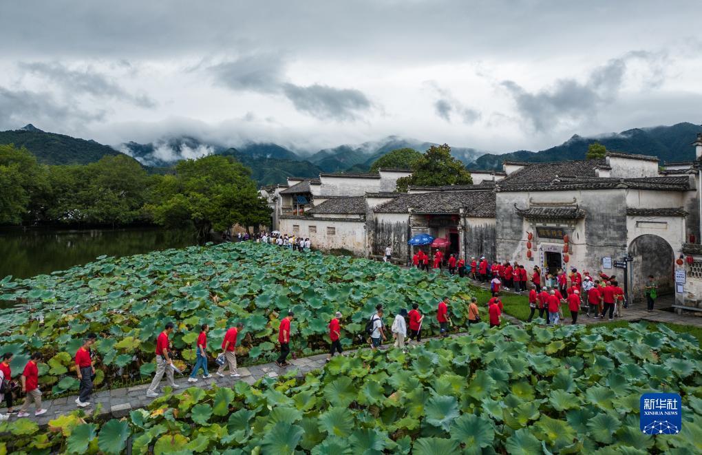美梅高注册平台